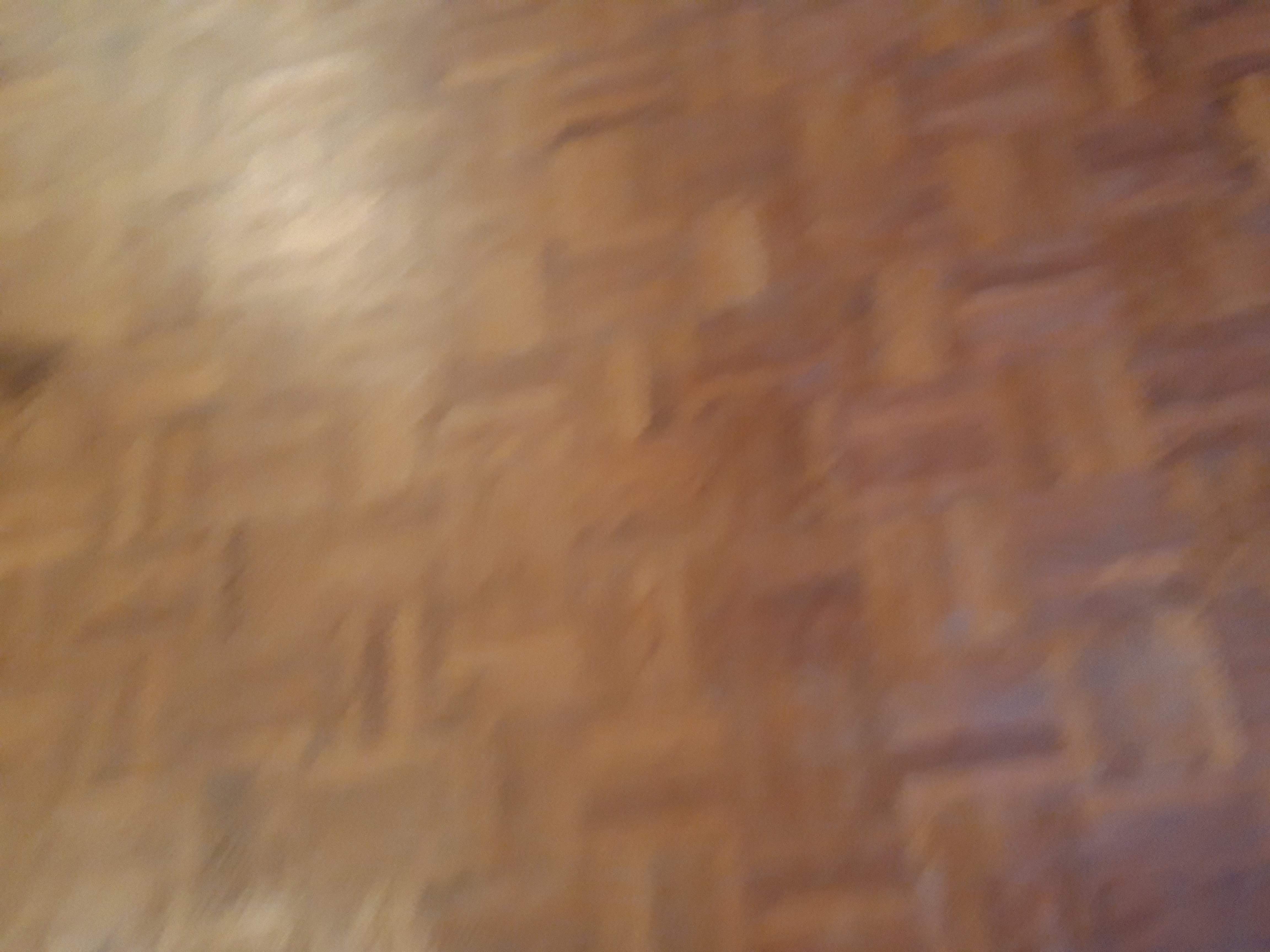 20190226_115736.jpg